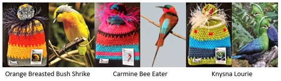 birds beanies newsletter2