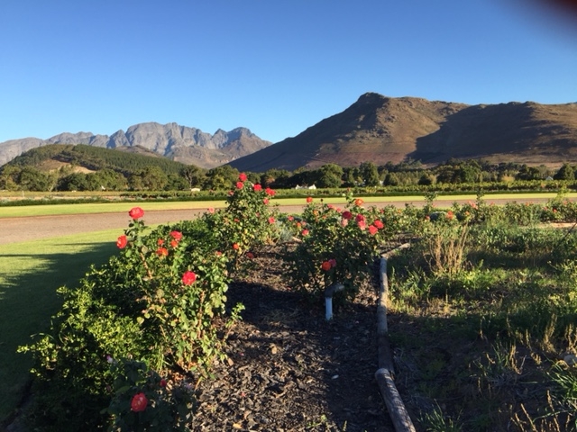 Winelands