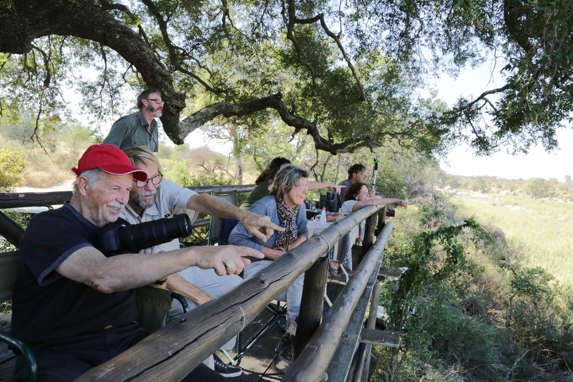 bird spottingGary Freeman Laufsafari